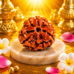 3 Mukhi