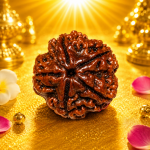 5 Mukhi
