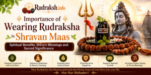 Importance of Wearing Rudraksha in Shravan Maas: Spiritual Benefits, Shiva's Blessings and Sacred Significance