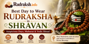 uploads/blog/409313731636816a6f607d7d9a6rudrakshainshravan.png