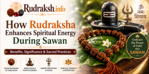uploads/blog/439818738729986a709a2e303eerudrakkshinsawan.png