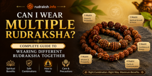 uploads/blog/752019079543796a1fa030a0364multiplerudraksha.png