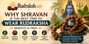 uploads/blog/91356740239506a8aeb6f7160bwhyshravanisbest.png