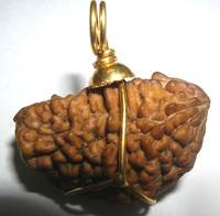 One Mukhi Rudraksh Gold Pendant