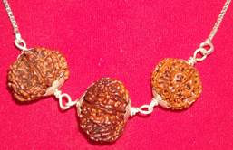 Lakshmi Ganesh Rudraksh Pendant | 7 & 8 Mukhi for Wealth and Prosperity