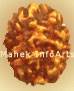 3 Mukhi Rudraksh- Indian Bead