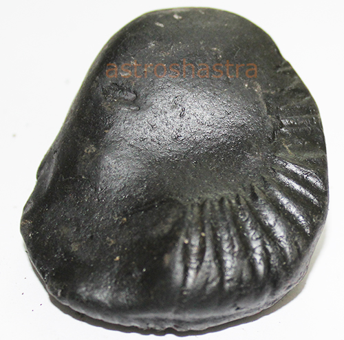 Shaligram - SN2022011