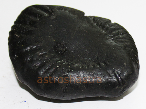Shaligram - SN2022018