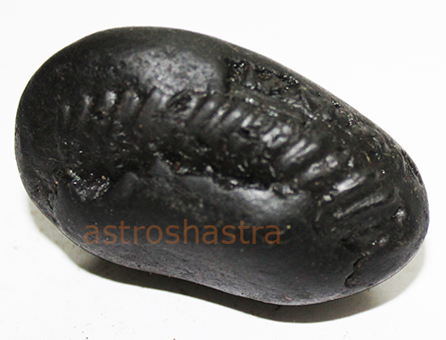 Shaligram - SN2022023
