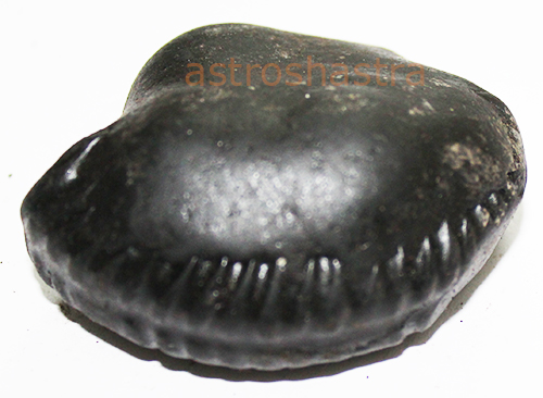 Shaligram - SN2022027