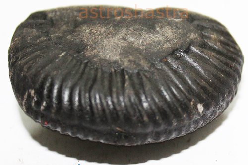 Shaligram - SN2022029