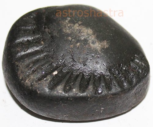 Shaligram - SN2022030