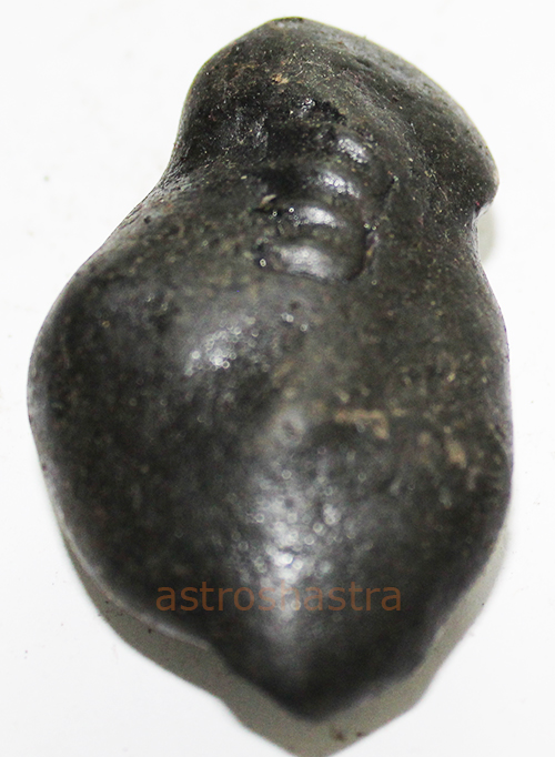 Shaligram - SN2022034