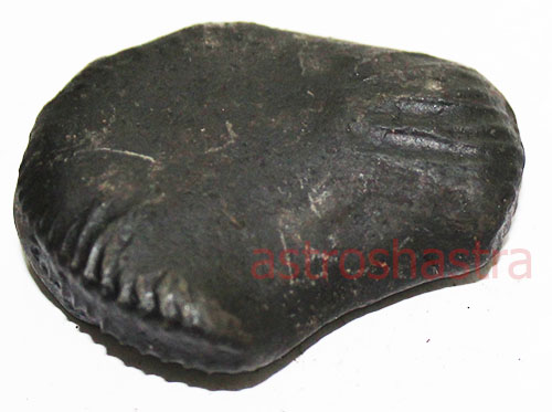 Shaligram - SN2022043