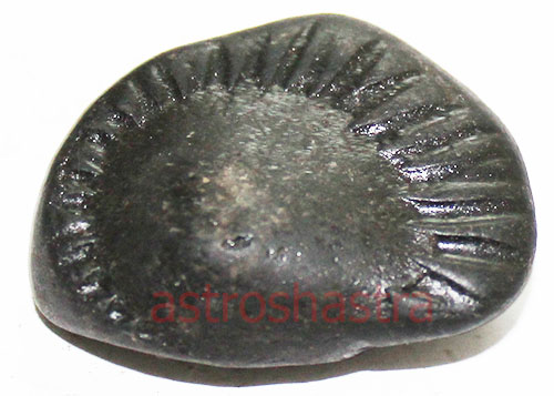 Shaligram - SN2022045