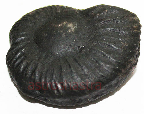 Shaligram - SN2022048