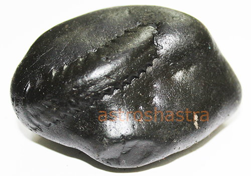 Shaligram - SN202205