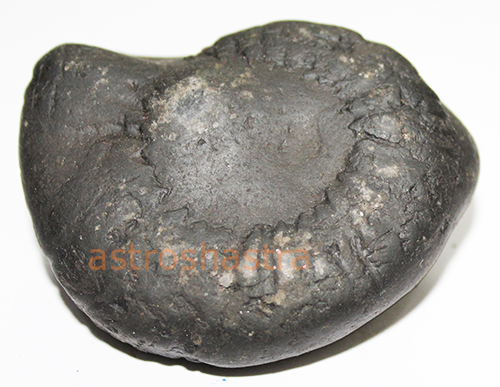 Shaligram - SN202207