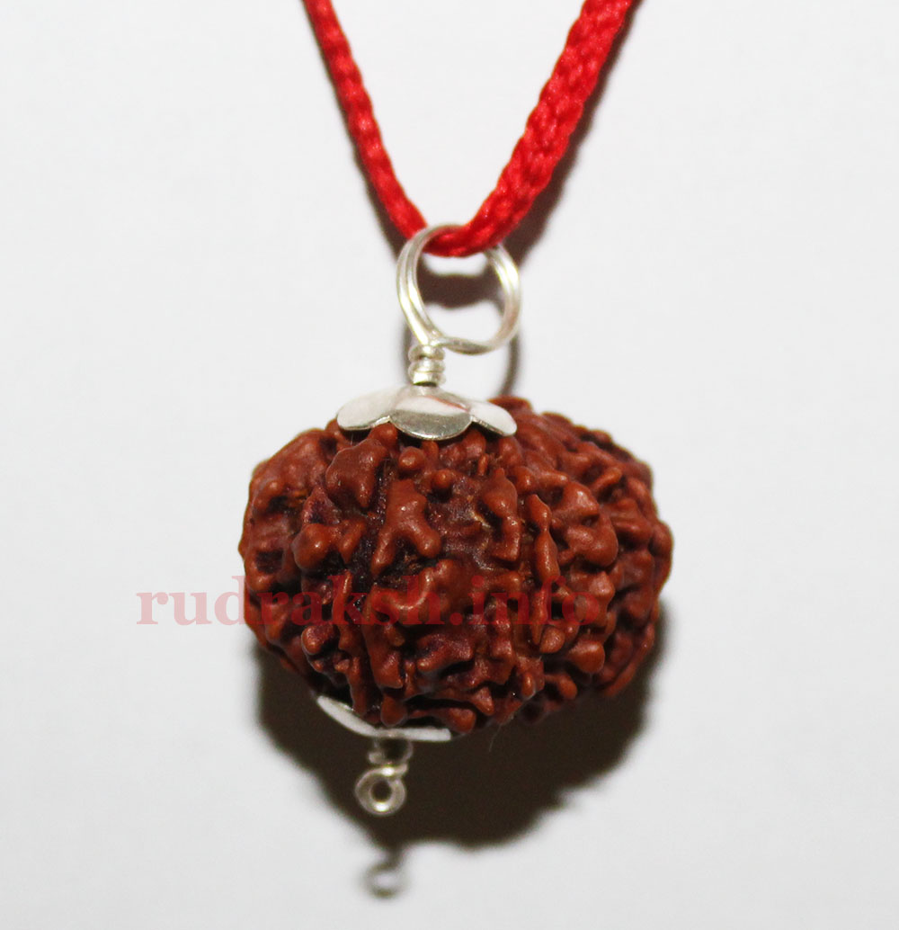 12 Mukhi Rudraksha Silver Pendant – Surya Dev Blessings & Power